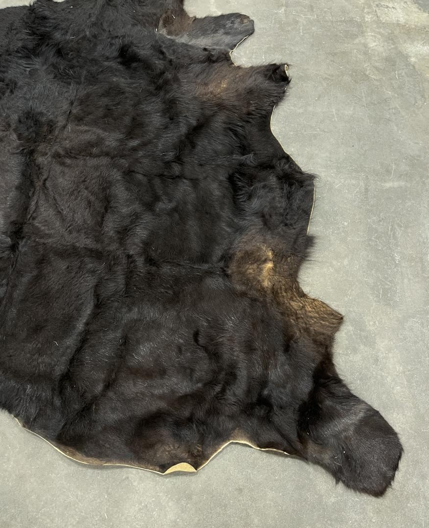 Large Montana Cowhide Steerhide Steer Bull Cow Rug