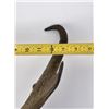 Image 8 : Large Set of Montana Antelope Horns