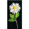 Image 1 : QUALITY ENAMEL BROOCH - DAISY #2247287