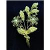 Image 1 : SUPERB RHINESTONE + LARGE FLORAL BROOCH #2247334
