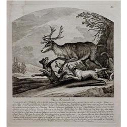 Engraving The Reindeer by J. E. Ridinger #2285767