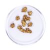 Image 1 : Lot of Gold Nuggets 3.68 grams Total Weight