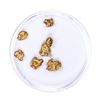 Image 2 : Lot of Gold Nuggets 3.12 grams Total Weight