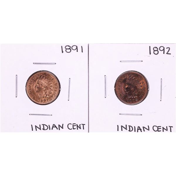 Lot of 1891-1892 Indian Head Cent Coins