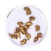 Image 1 : Lot of Gold Nuggets 6.60 grams Total Weight