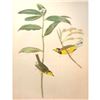 Image 1 : c1946 Audubon Print, #110 Hooded Warbler
