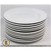 11 LG DINNER PLATES