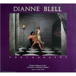 Diane Blell Photographs Offset Lithograph #2269538