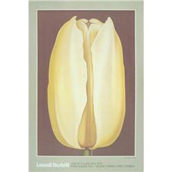 Lowell Nesbitt Yellow Tulip #2269727
