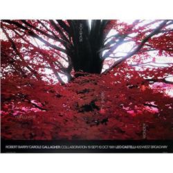 Robert Barry Hoped For... #2269751