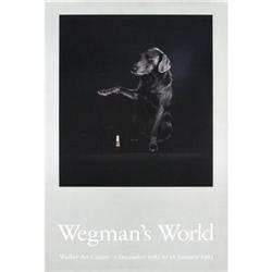 Will Wegman Fey Rey (Wegman's World) #2269777