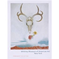 Georgia O'Keefe Summer Days #2269800