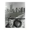 Image 1 : Christopher Bliss View of World Trade Center#2269978