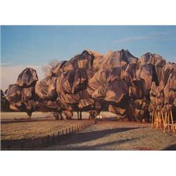 Javacheff Christo Wrapped Trees, Zurich, No. 13#2269992