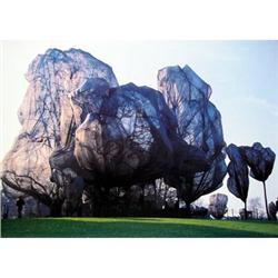 Javacheff Christo Wrapped Trees, Zurich, No.14 #2269993