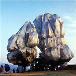 Javacheff Christo Wrapped Trees, Zurich, No. 16#2269995