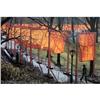 Image 1 : Javacheff Christo The Gates Project, Photo #28 #2270021