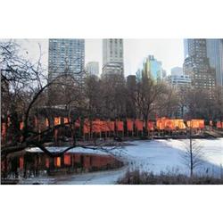 Javacheff Christo The Gates Project, Photo #27 #2270023