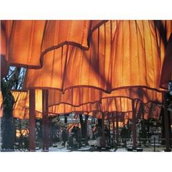 Javacheff Christo The Gates Project, Photo #31 #2270024