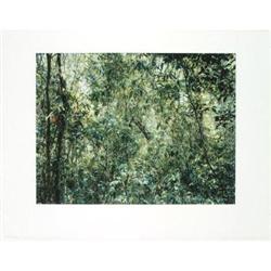 Thomas Struth Paradise 9 #2270066