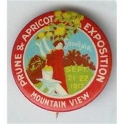 old vintage 1917 Prune Apricot Mountainview pin#2270501