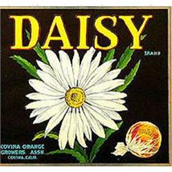 VINTAGE CITRUS LABELS * 20 OLD VINTAGE FRUIT #2270572