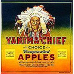 VINTAGE CRATE LABELS * 20 OLD VINTAGE INDIAN #2270573