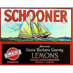 VINTAGE CITRUS LABELS * 18 OLD VINTAGE SHIP #2270576