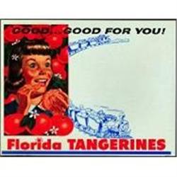 Old Vintage FLORIDA TANGERINE ORANGES Sign * #2270591