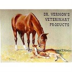 DOCTOR HORSE SIGN * Old Vintage VETERINARY VET #2270597