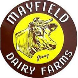 JERSEY COW SIGN * OLD VINTAGE MAYFIELD DAIRY #2270611