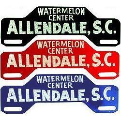 SOUTH CAROLINA LICENSE PLATE TOPPER * #2270612