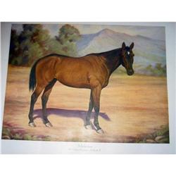old vintage MALICIOUS HORSE PRINT ~ Khayyam #2270652