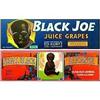 Image 1 : 18 VINTAGE BLACK AMERICANA CRATE LABELS / NEGRO#2270835