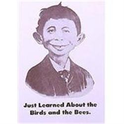 VINTAGE ALFRED E. NEWMAN MAD MAGAZINE SIGN #2270882