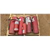 Image 2 : SKID OF FIRE EXTINGUISHERS