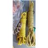 Image 2 : BOX WITH ASSORTED ROPE, PEG BOARD HOOKS, AND DOG LEASH