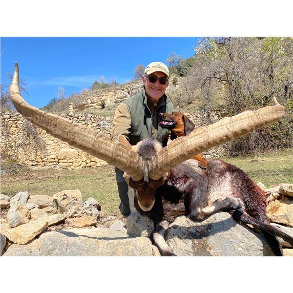 3 Day Beceite Ibex Hunt in Spain for Two Hunters