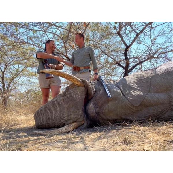 Great Zimbabwe 10 Day Elephant Conservation Hunt