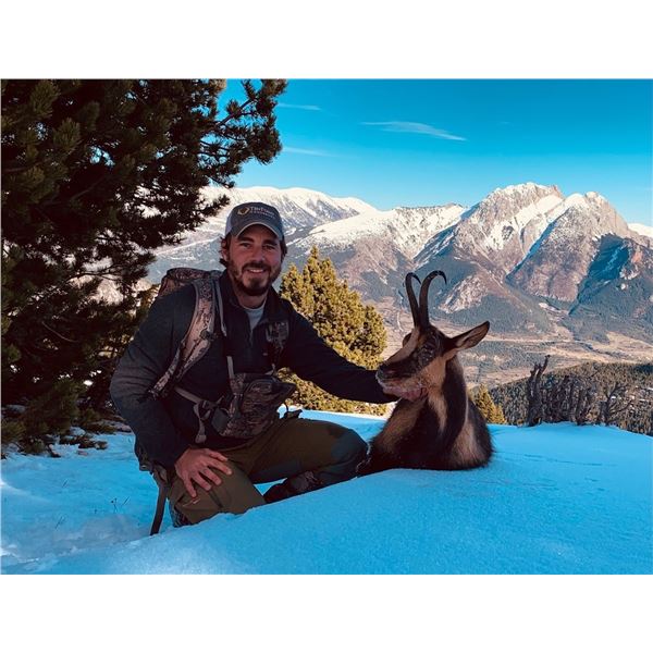 3 Day Chamois hunt in Spain