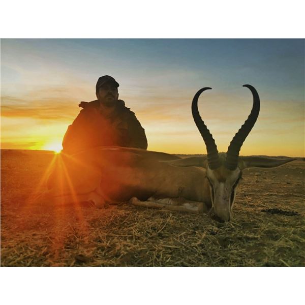 5 Day Springbuck Slam for two hunters
