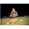 Image 12 : Serbia Roe Deer for 2