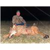 Image 7 : Serbia Roe Deer for 2