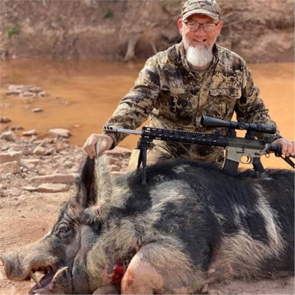 Hog OR Ram hunt at Blue Rooster Ranch in Arizona for 1 Hunter