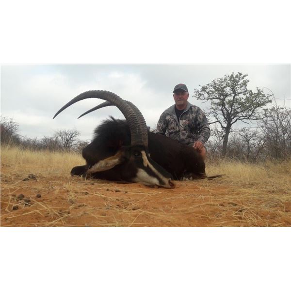 10 day sable hunt for 1 hunter and 1 non-hunter