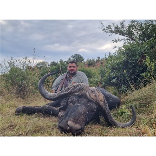 12 Day Cape Buffalo hunt for 1 hunter