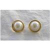 Image 1 : 14kt Yellow Gold & Pearl Earrings #2281640