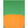 Image 1 : Ellsworth Kelly Orange and Green Lithograph #2282064