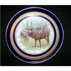 European Porcelain Decorative Plate #2283421