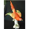 Image 1 : HOCHST MODEL OF PARROT #2293527